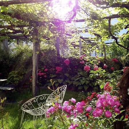 Bed & Breakfast Uvablu Trontano 外观 照片