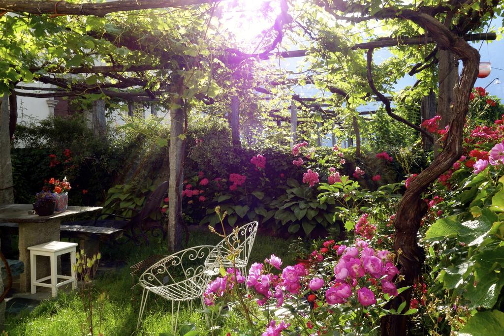 Bed & Breakfast Uvablu Trontano 外观 照片