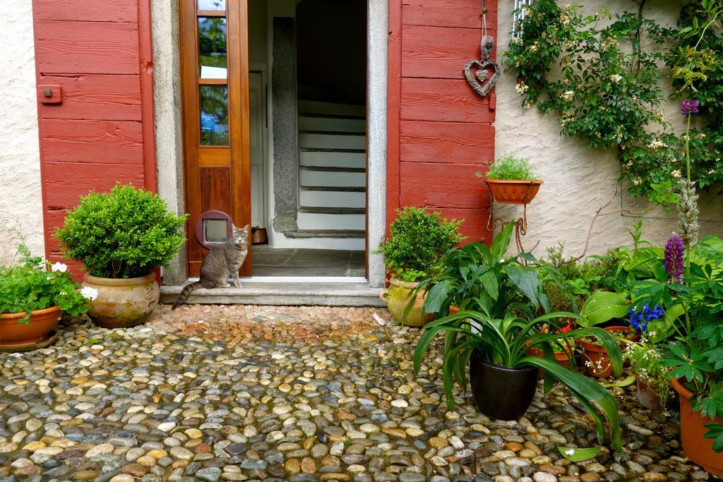 Bed & Breakfast Uvablu Trontano 外观 照片