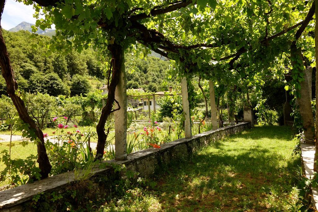 Bed & Breakfast Uvablu Trontano 外观 照片